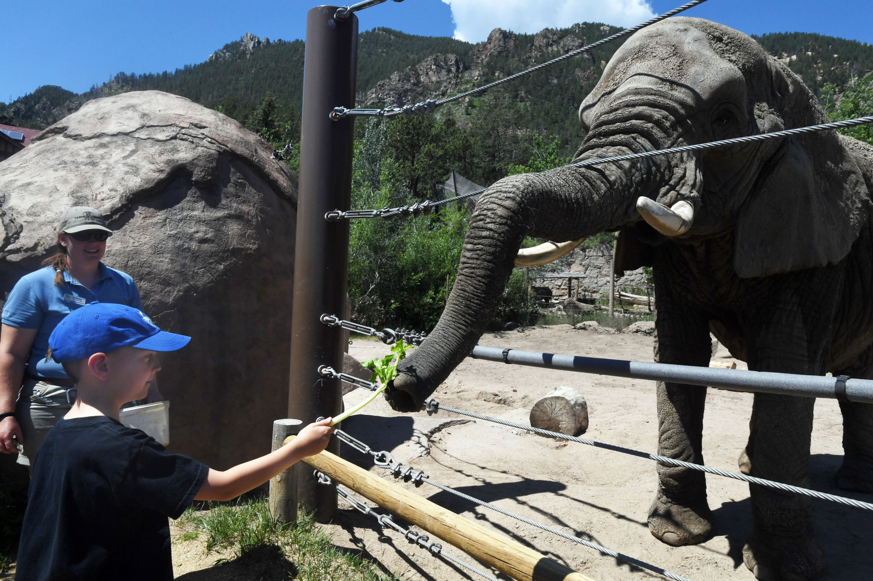 070119-news-elephant 10.JPG